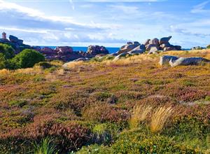 Camping Paimpol Bretagne