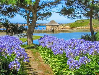 Camping Paimpol Bretagne