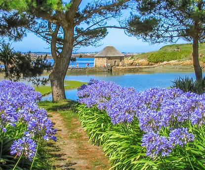 Camping Paimpol Bretagne