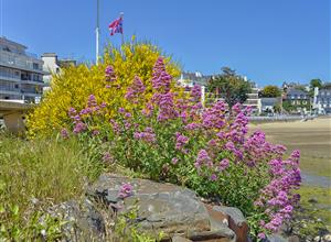 Camping Paimpol Bretagne