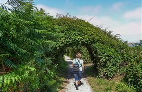 Camping Paimpol Bretagne